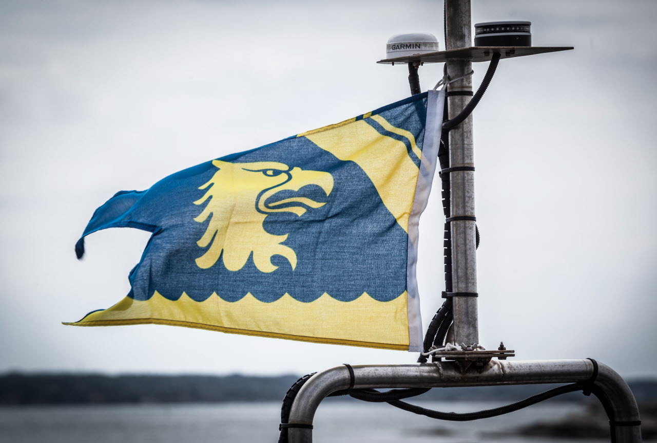 Kustbevakningsflagga