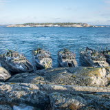 Stridsbåtar under övning 161117.jpg