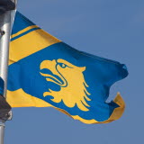 KBV-flagga.jpg
