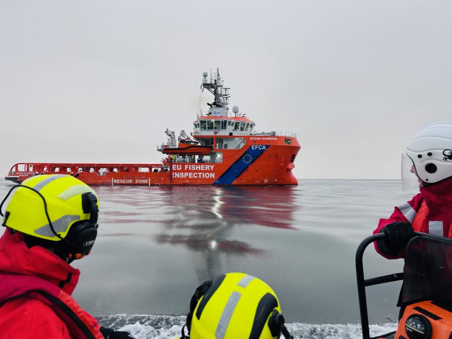 EU-gemensamma fiskekontroller