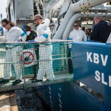 Migranter lämnar fartyget 170618.jpg